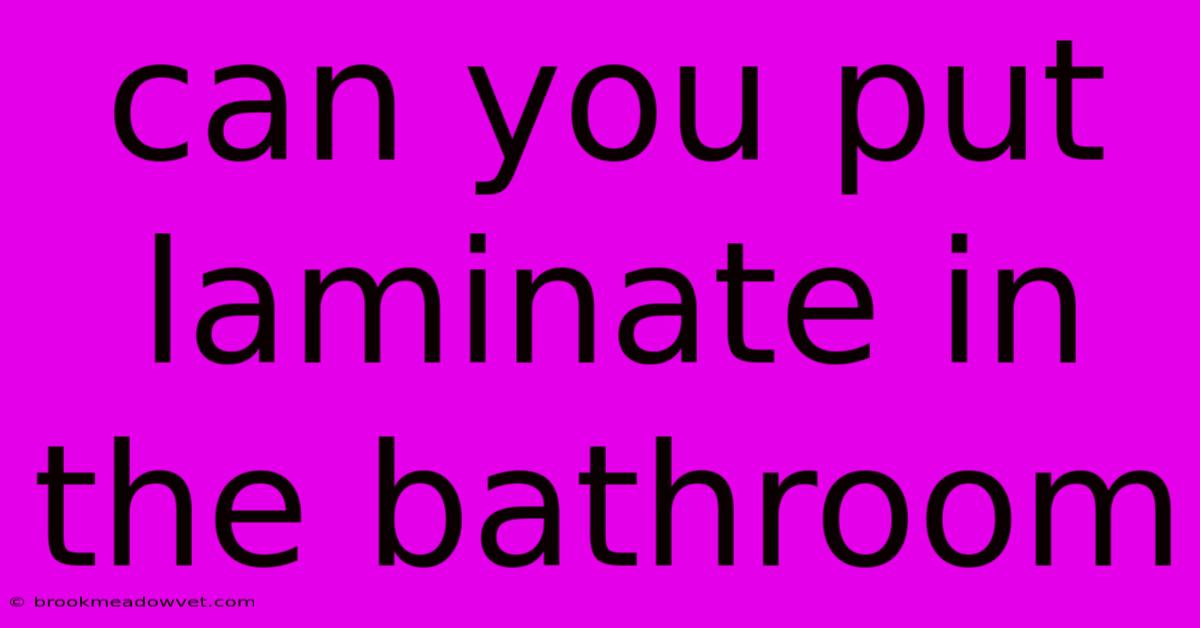 Can You Put Laminate In The Bathroom