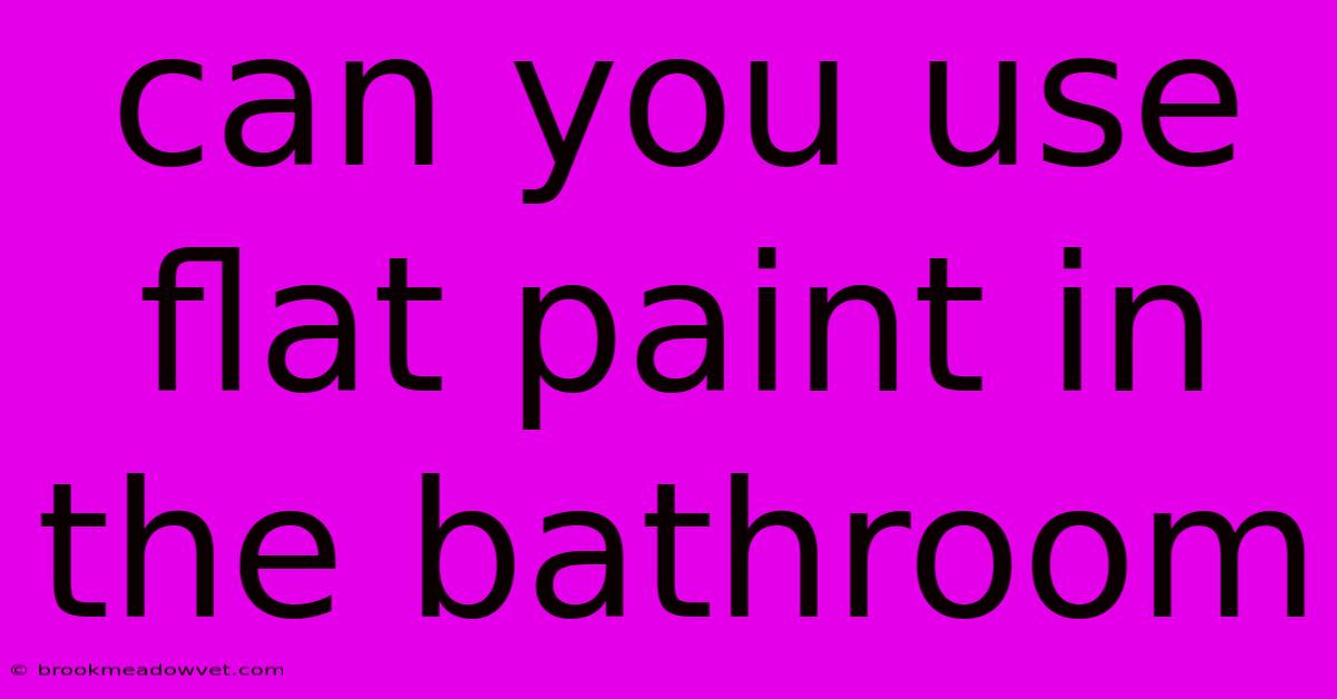 Can You Use Flat Paint In The Bathroom