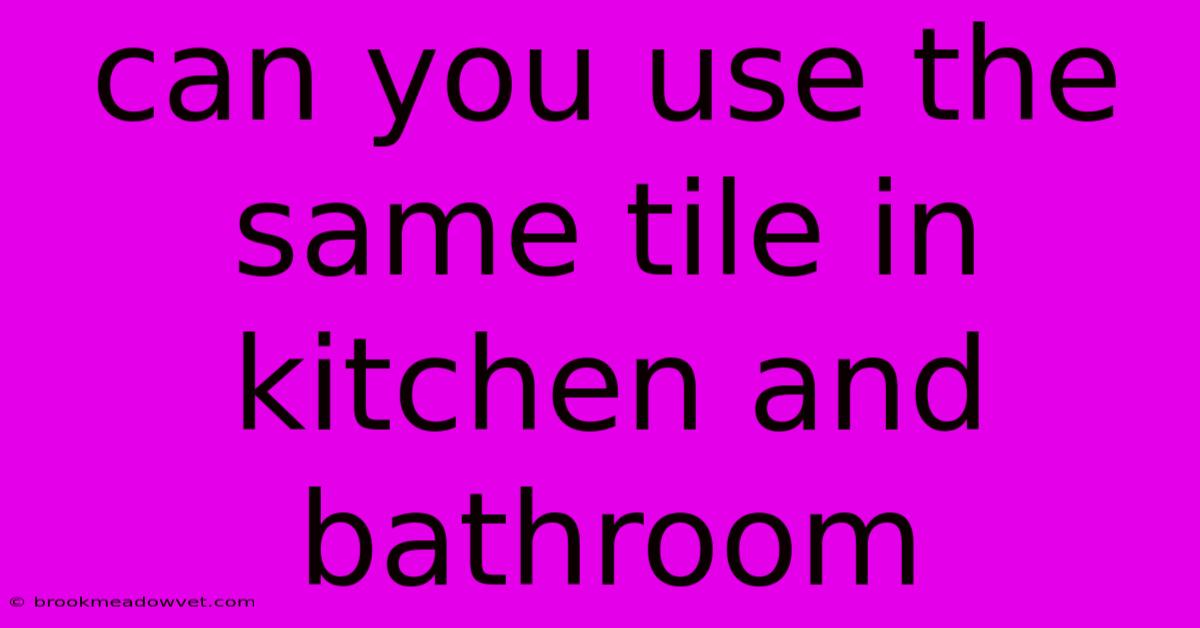 Can You Use The Same Tile In Kitchen And Bathroom