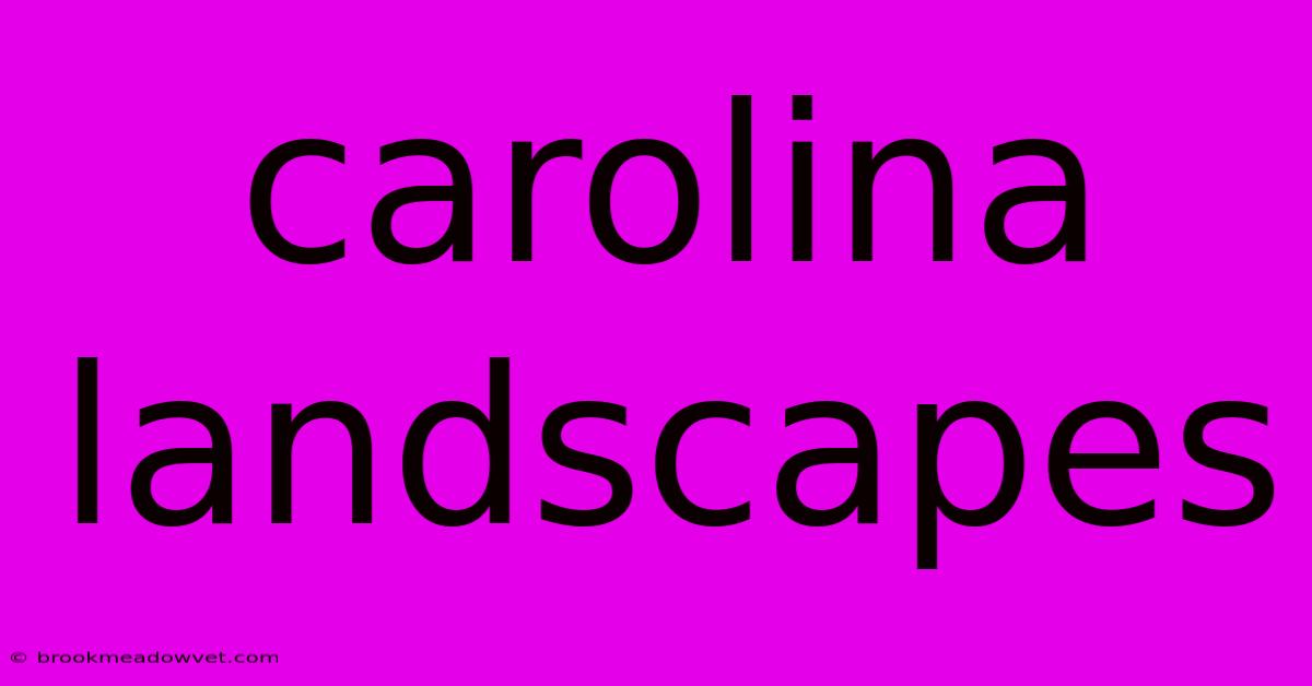 Carolina Landscapes