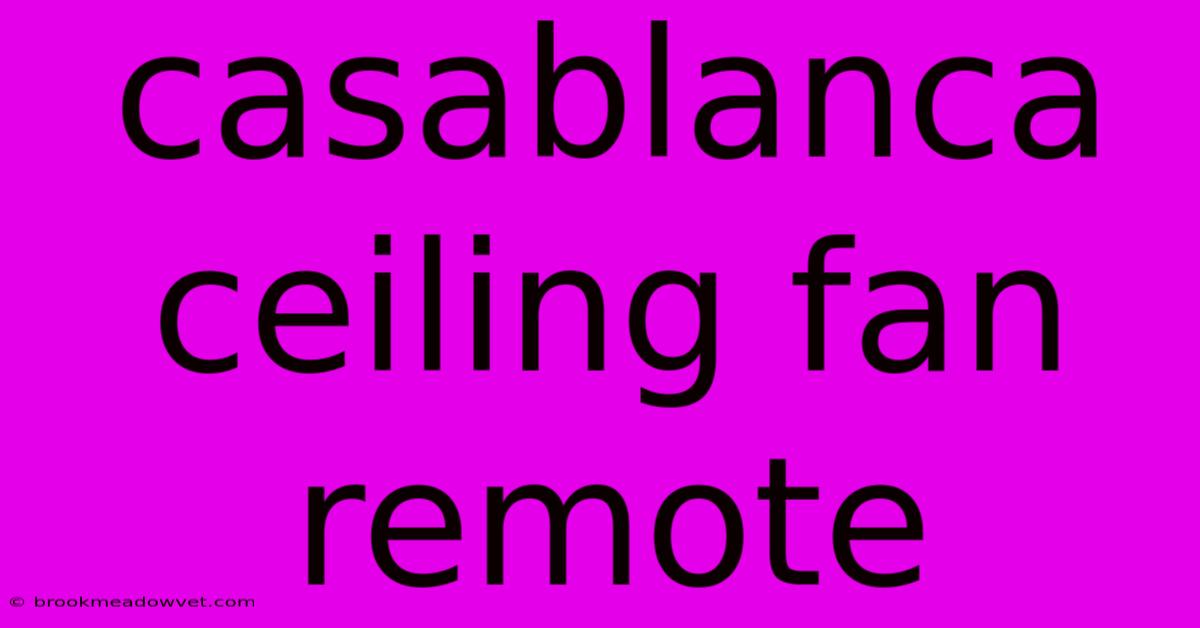 Casablanca Ceiling Fan Remote