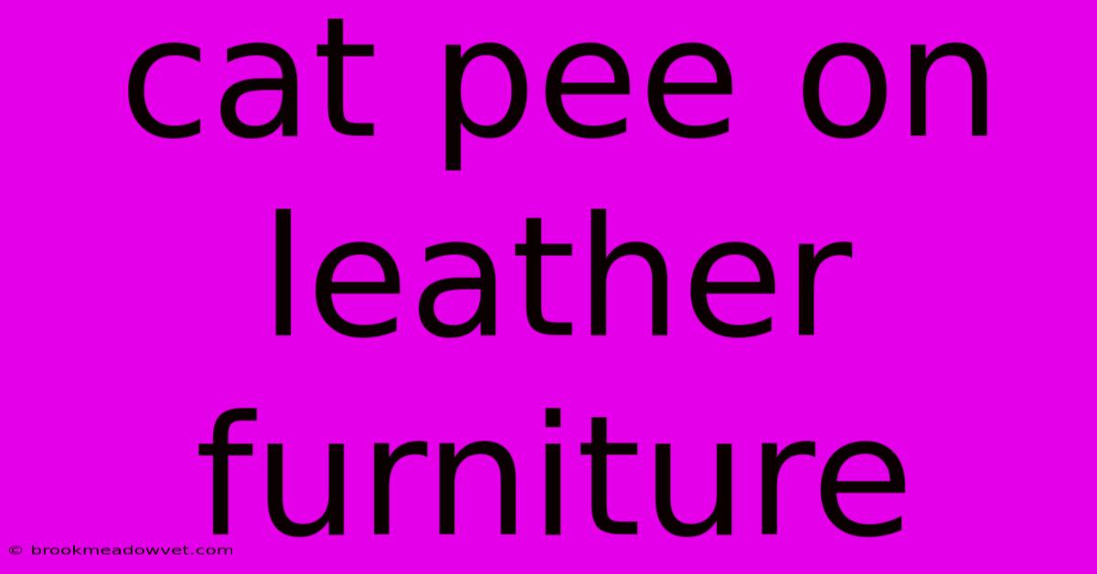 Cat Pee On Leather Furniture