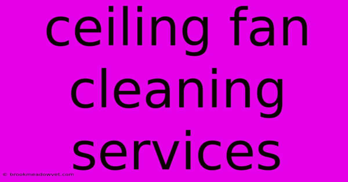 Ceiling Fan Cleaning Services