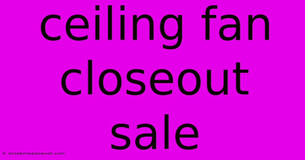 Ceiling Fan Closeout Sale