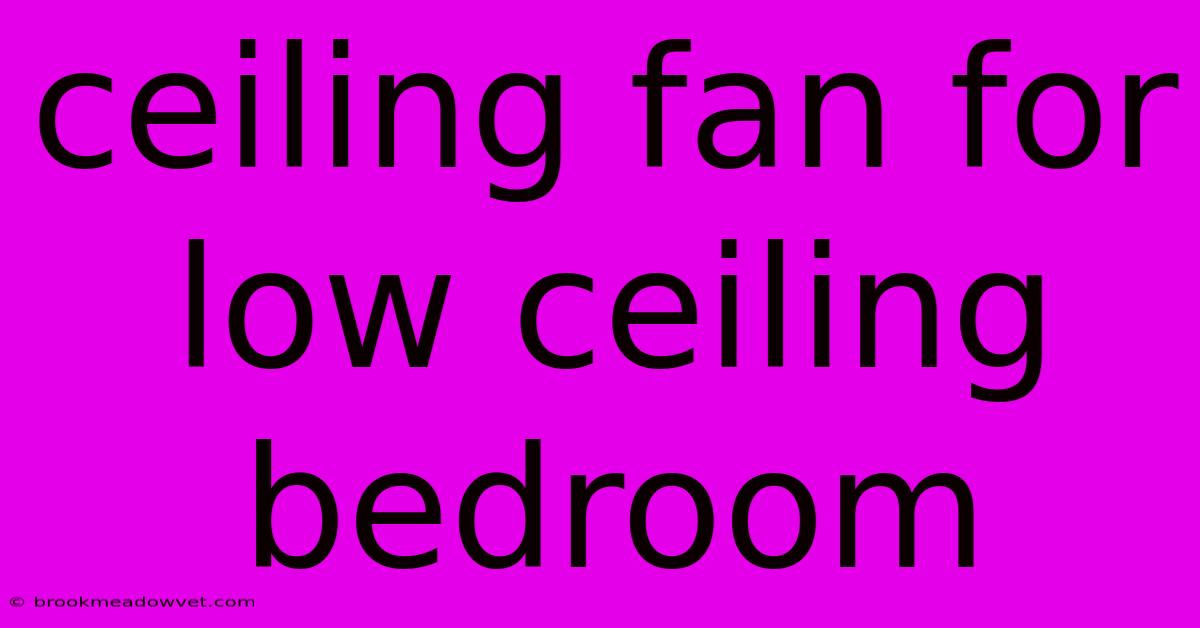 Ceiling Fan For Low Ceiling Bedroom