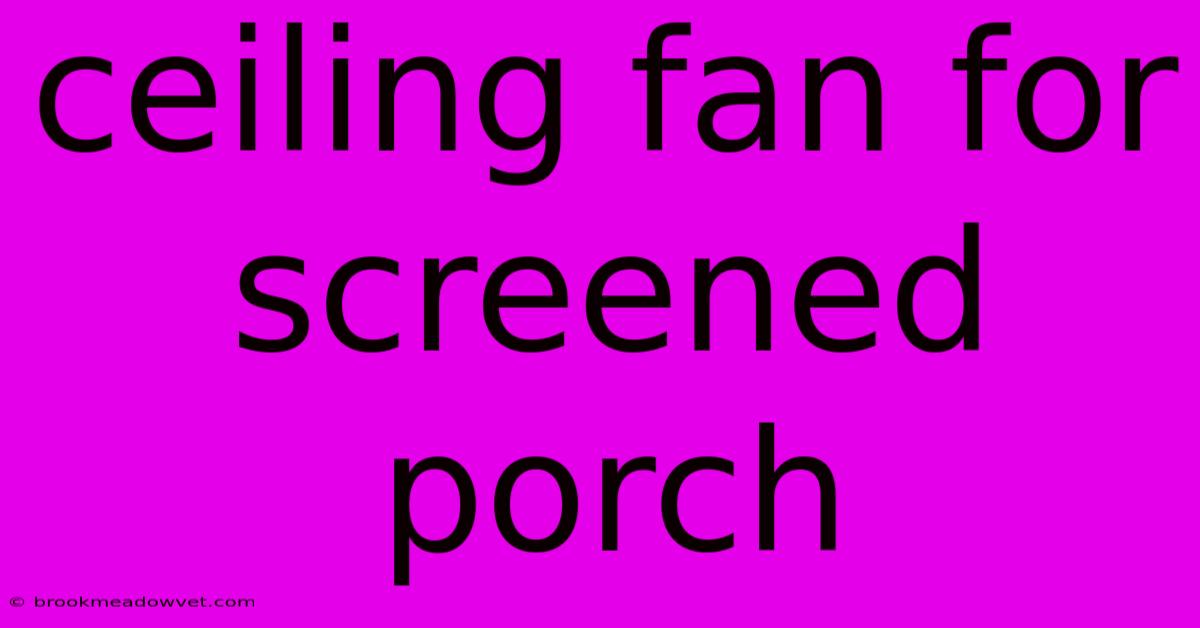 Ceiling Fan For Screened Porch