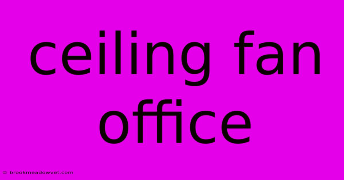 Ceiling Fan Office