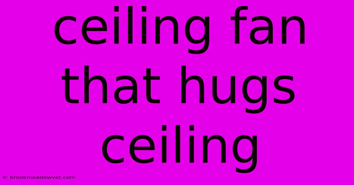 Ceiling Fan That Hugs Ceiling