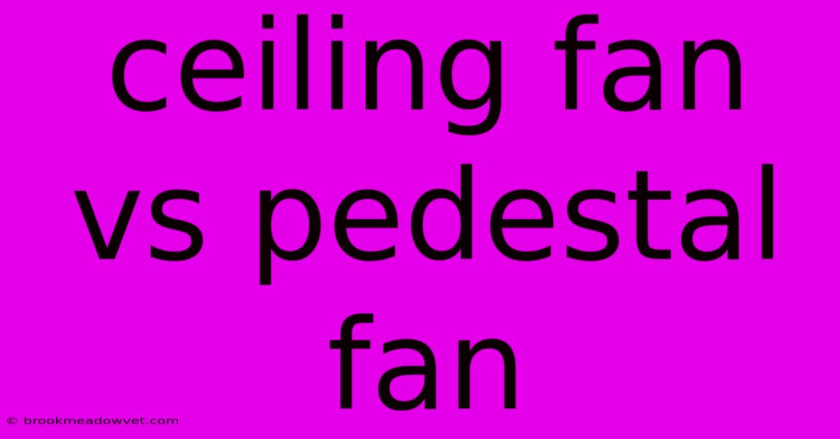 Ceiling Fan Vs Pedestal Fan