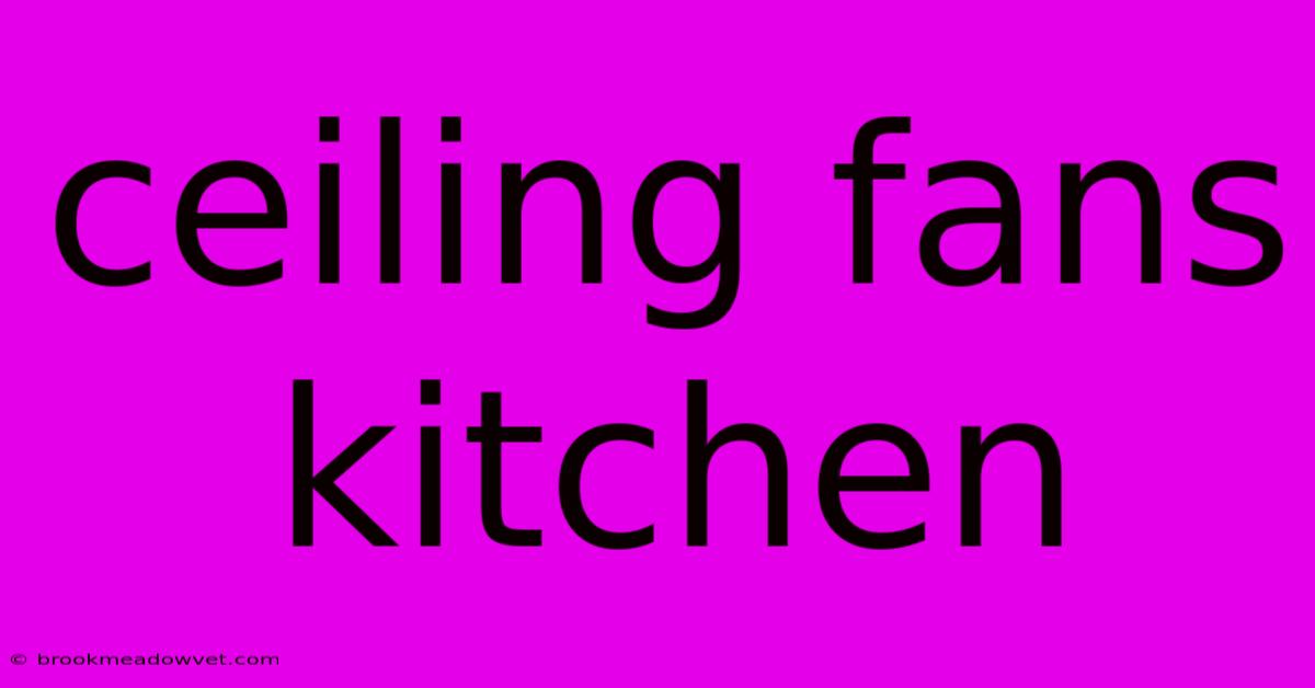 Ceiling Fans Kitchen