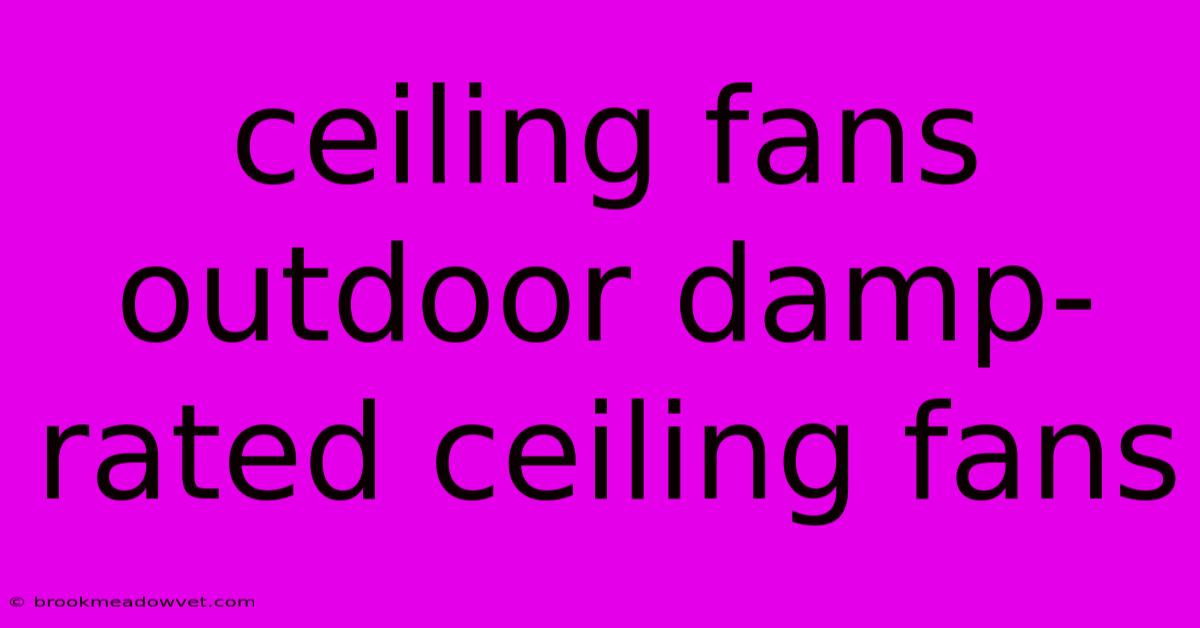 Ceiling Fans Outdoor Damp-rated Ceiling Fans