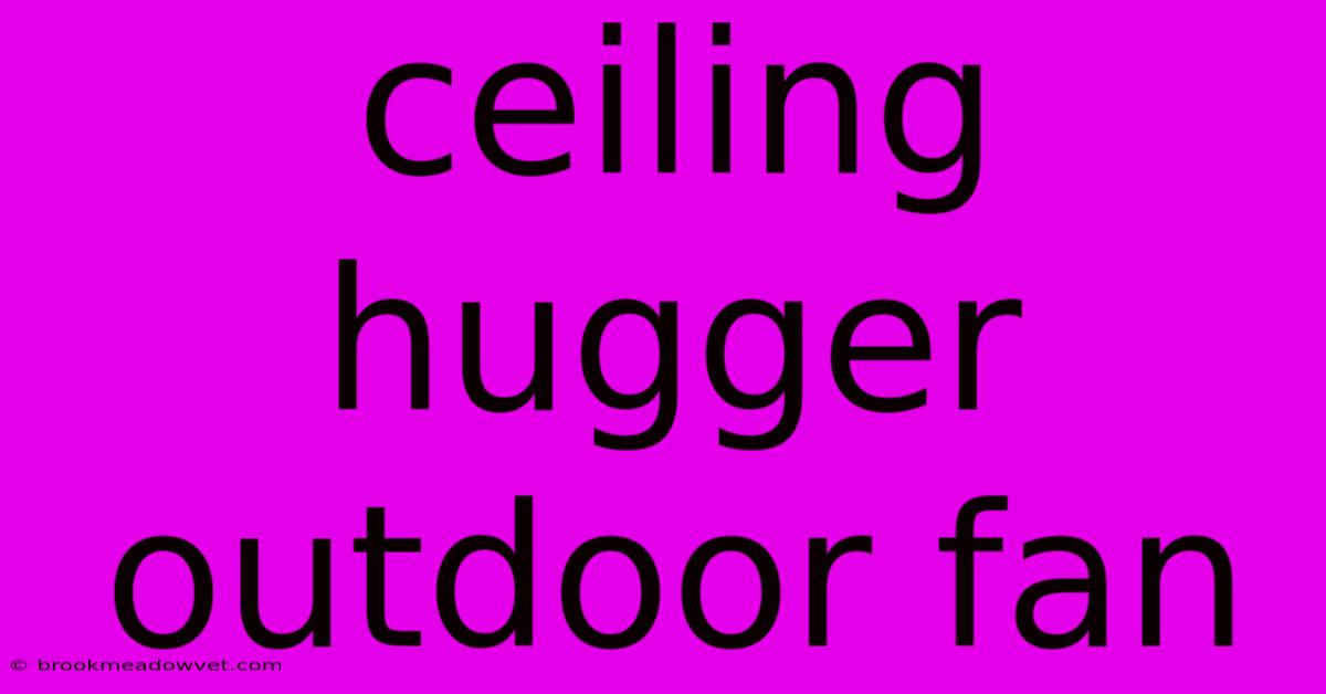 Ceiling Hugger Outdoor Fan