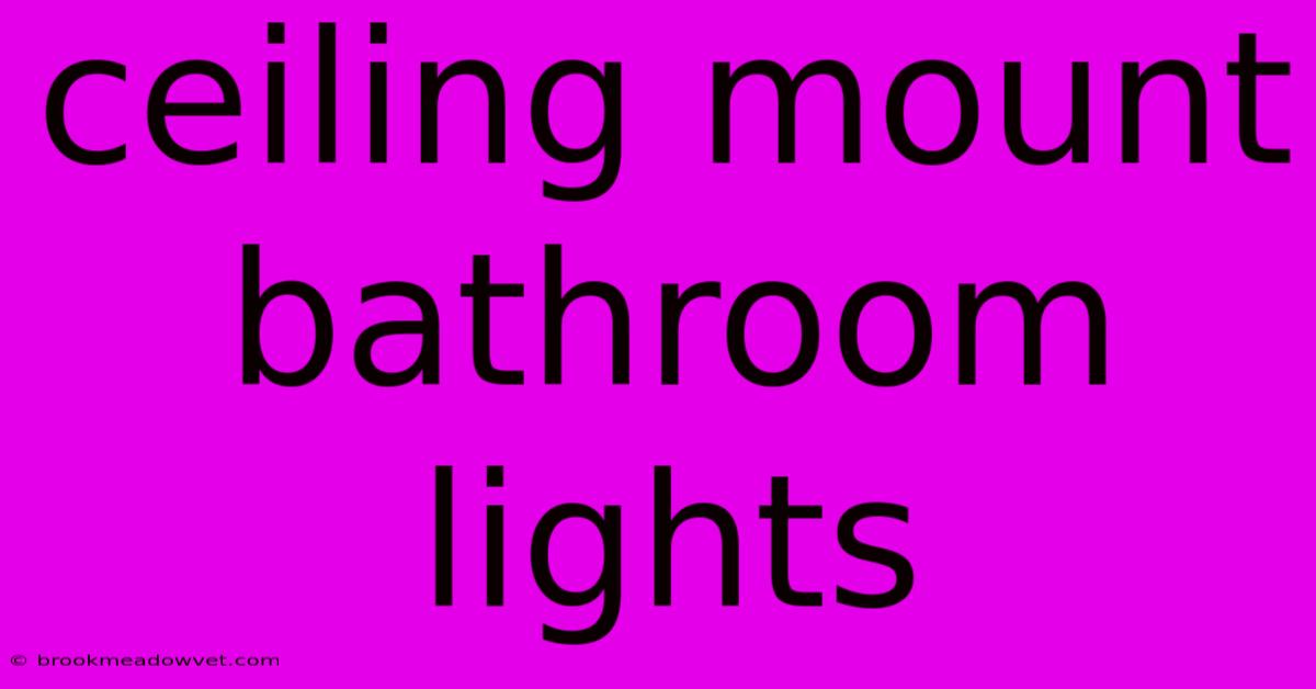 Ceiling Mount Bathroom Lights