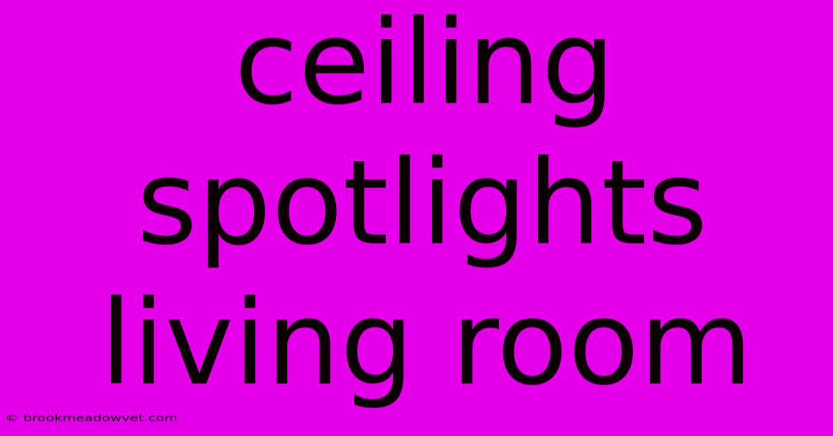 Ceiling Spotlights Living Room