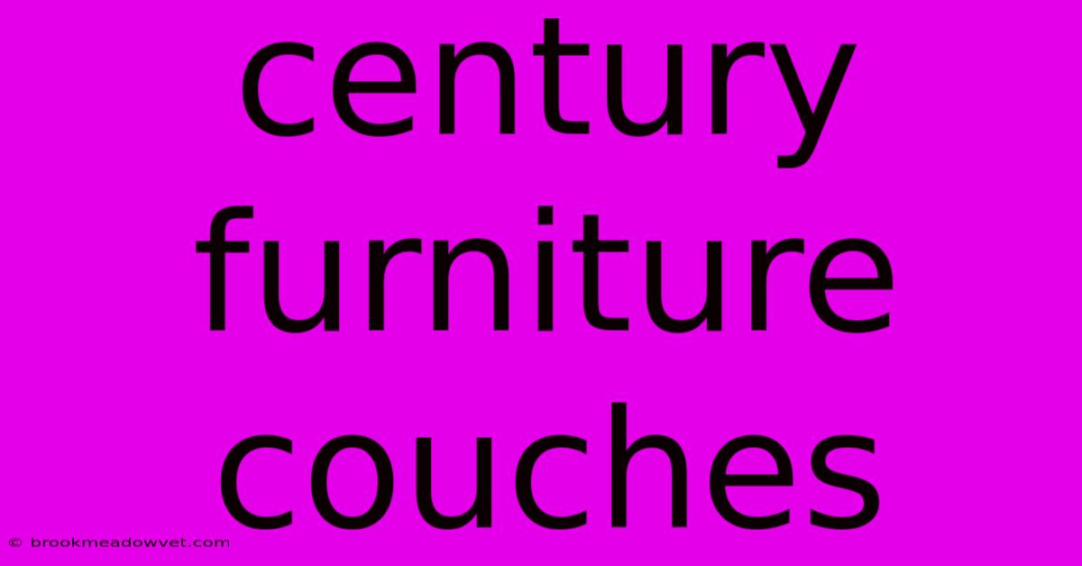 Century Furniture Couches