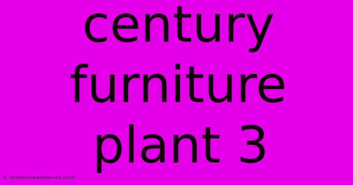 Century Furniture Plant 3