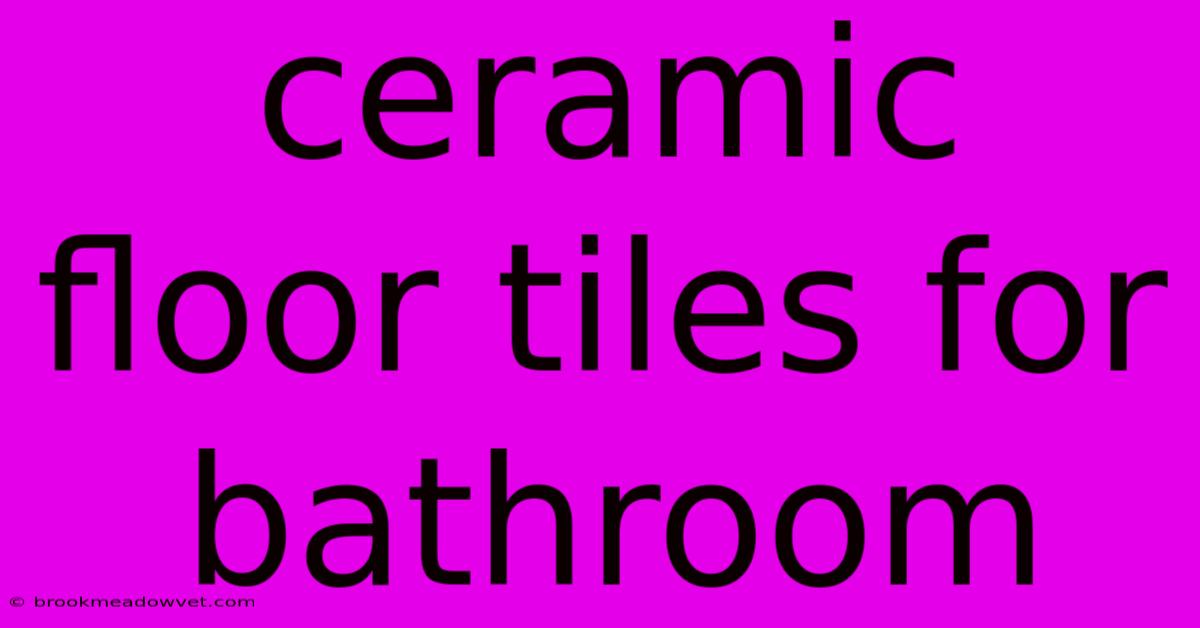 Ceramic Floor Tiles For Bathroom