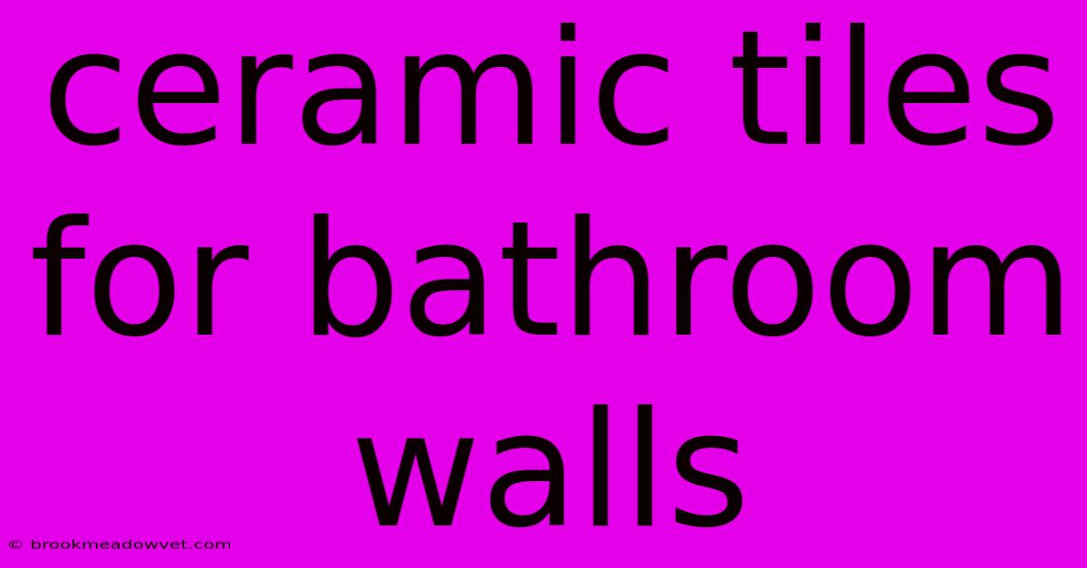 Ceramic Tiles For Bathroom Walls