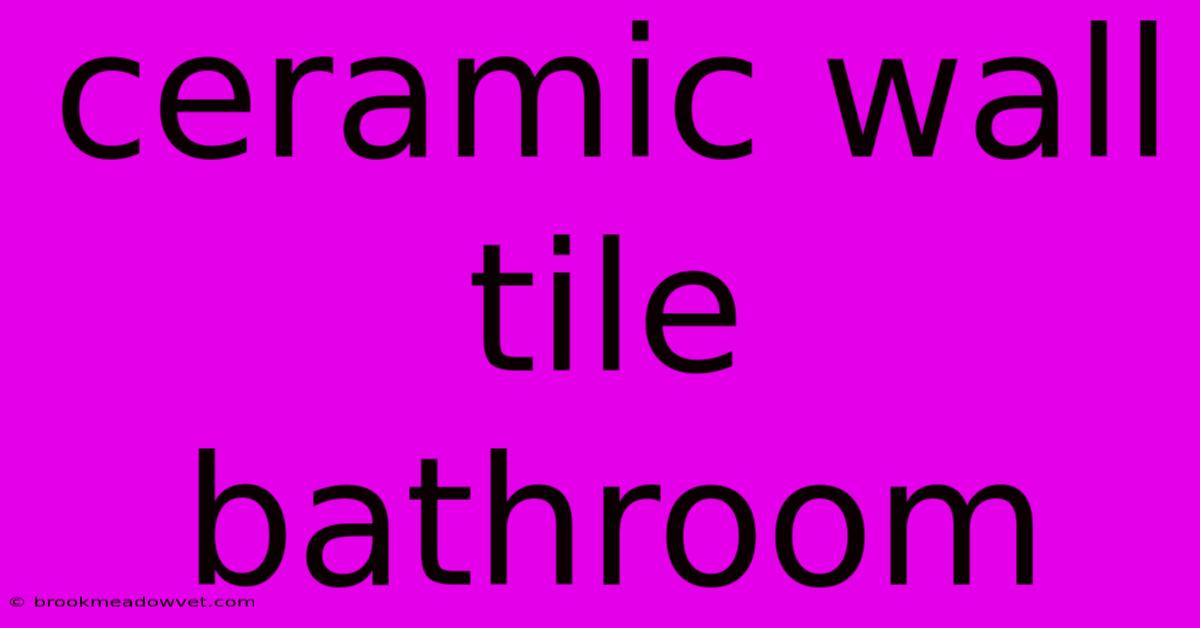 Ceramic Wall Tile Bathroom