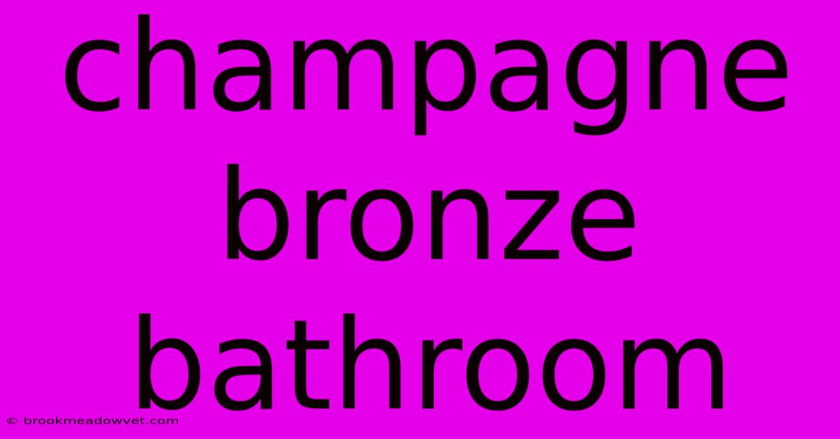 Champagne Bronze Bathroom