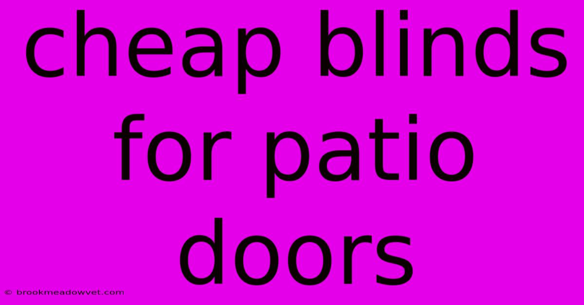 Cheap Blinds For Patio Doors