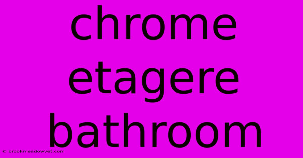 Chrome Etagere Bathroom