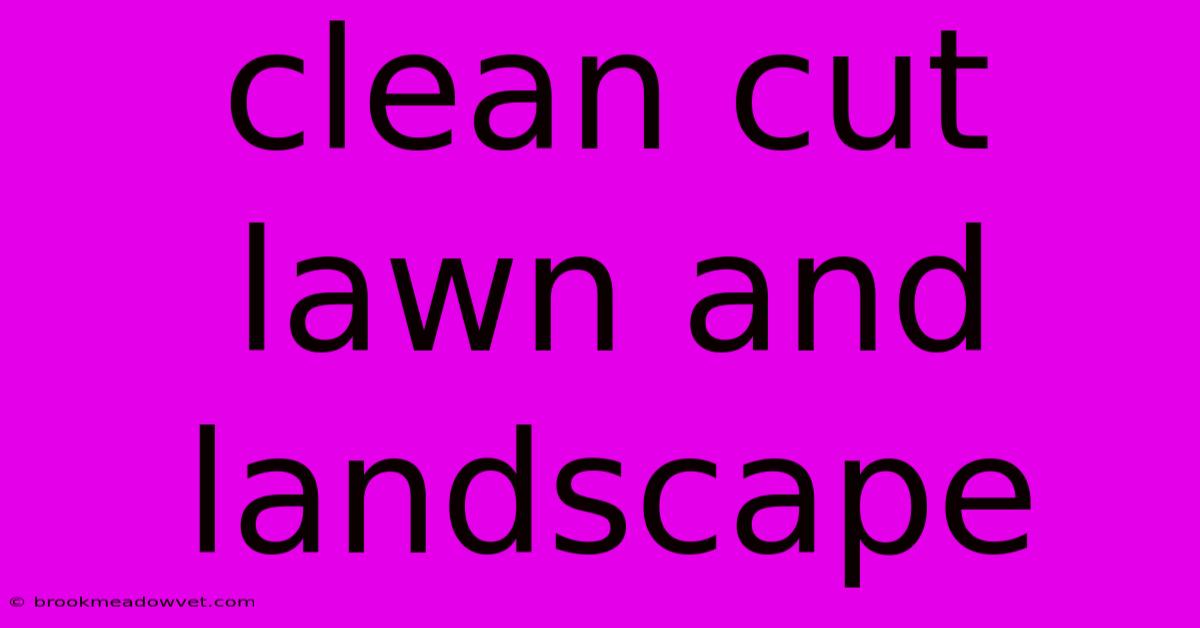 Clean Cut Lawn And Landscape