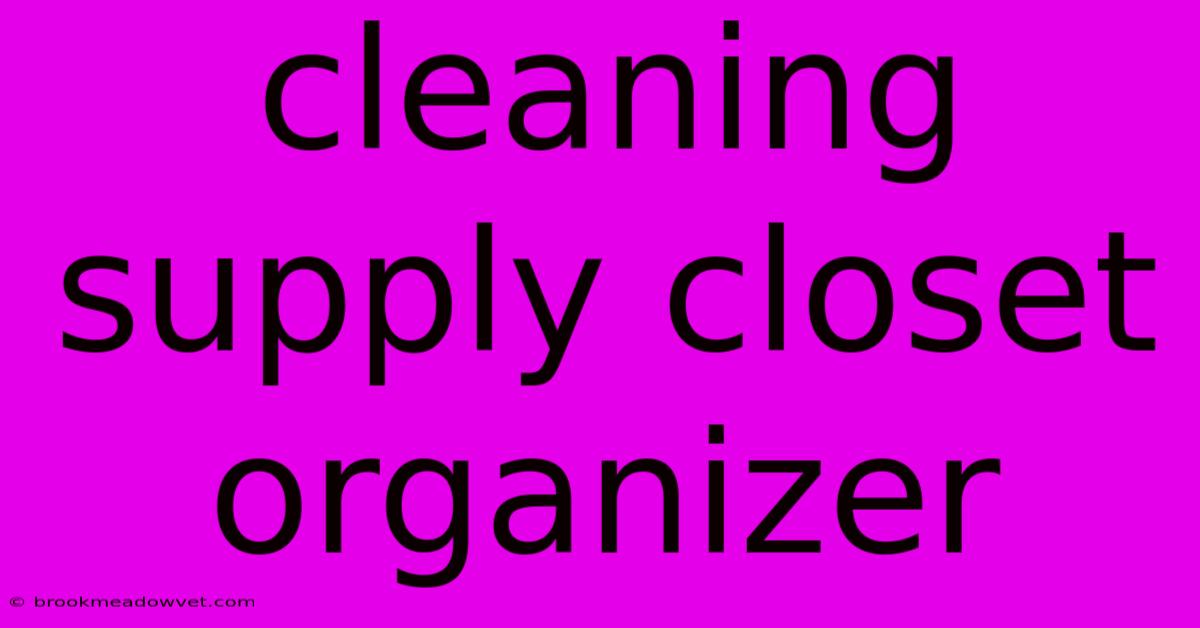 Cleaning Supply Closet Organizer