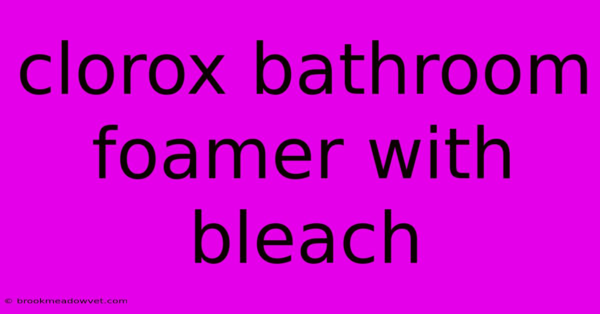 Clorox Bathroom Foamer With Bleach