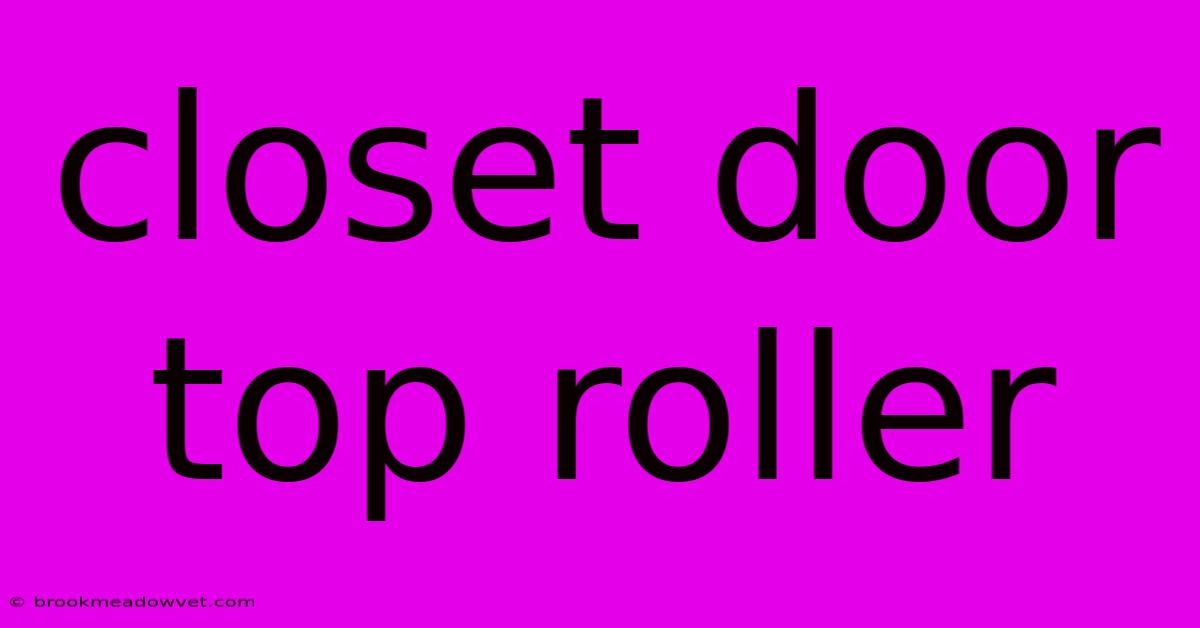 Closet Door Top Roller