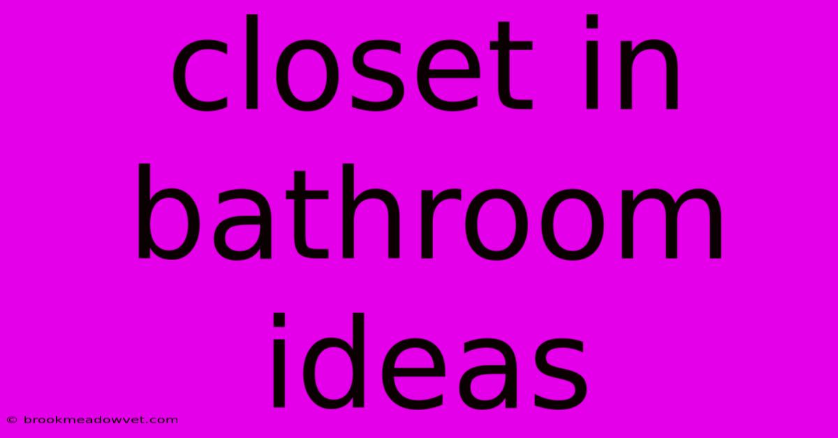 Closet In Bathroom Ideas