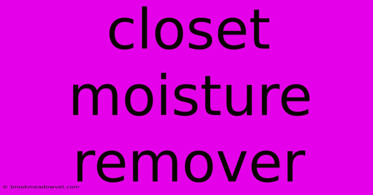 Closet Moisture Remover