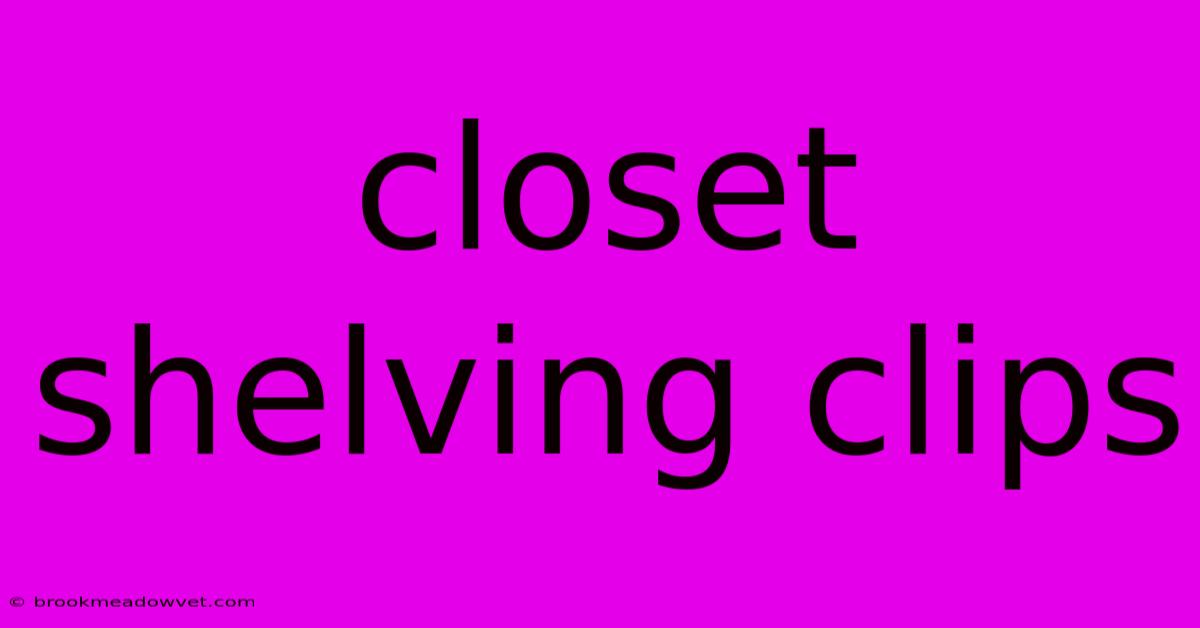 Closet Shelving Clips