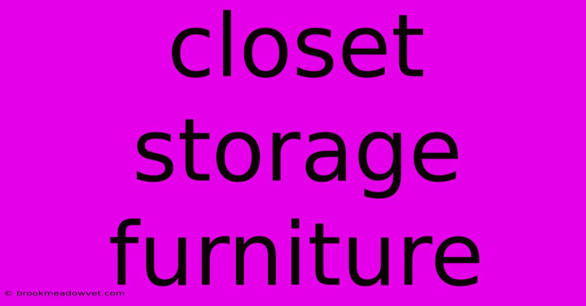 Closet Storage Furniture