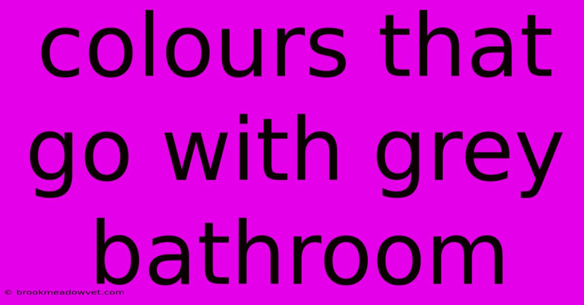 Colours That Go With Grey Bathroom