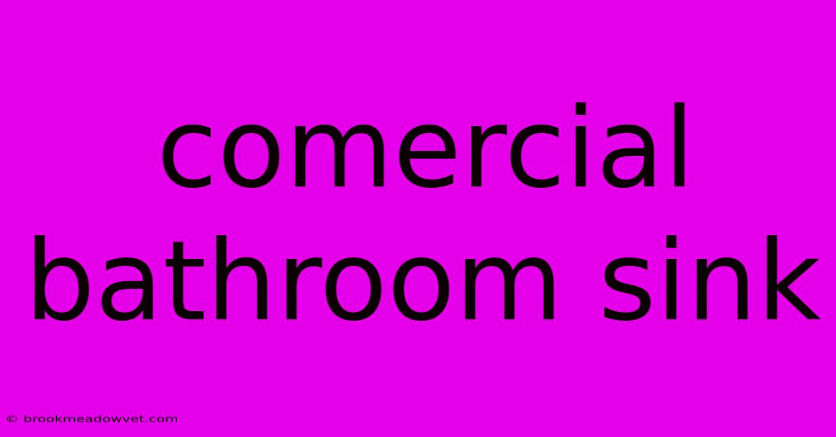 Comercial Bathroom Sink