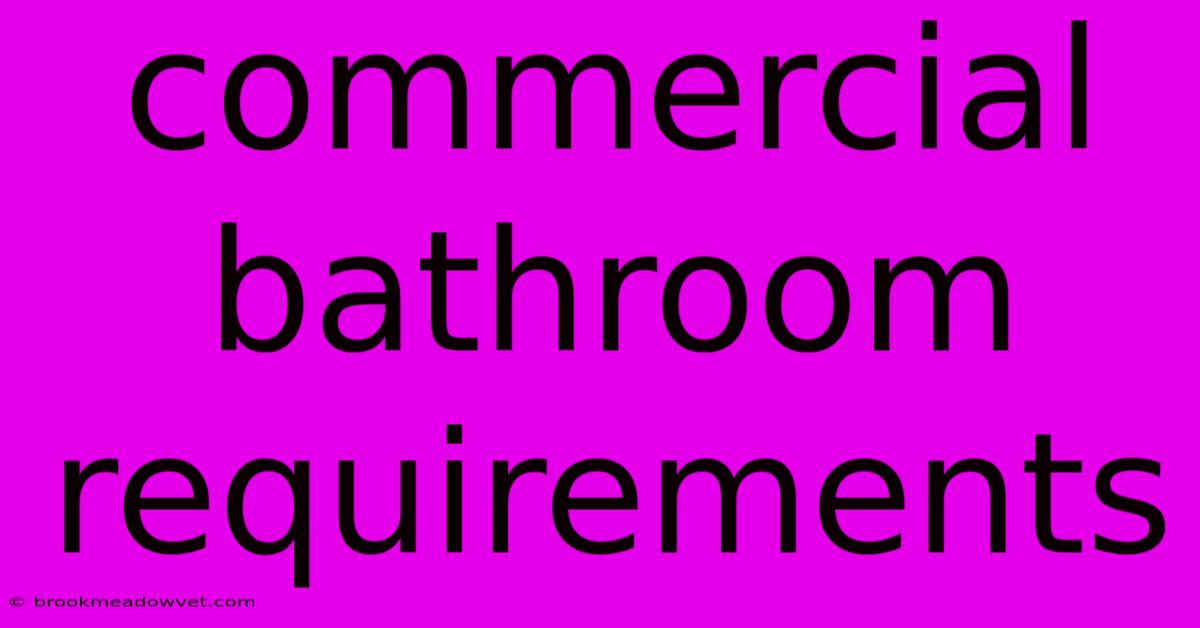 Commercial Bathroom Requirements