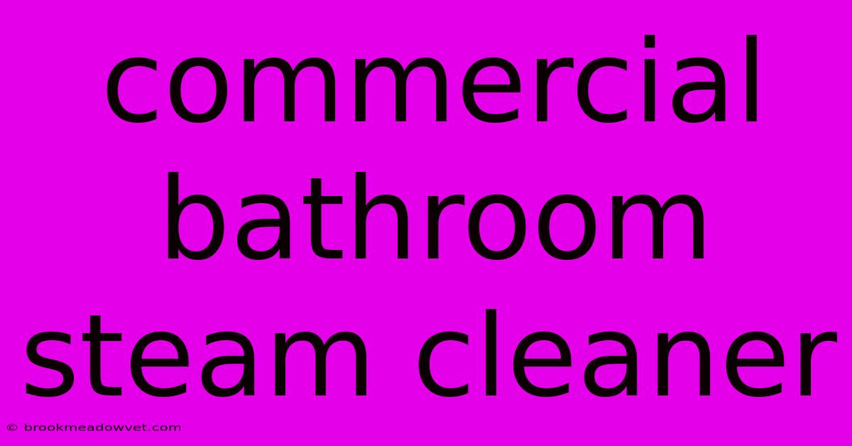 Commercial Bathroom Steam Cleaner