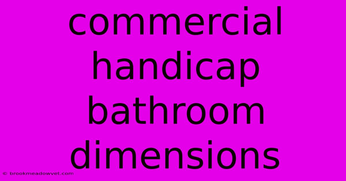 Commercial Handicap Bathroom Dimensions