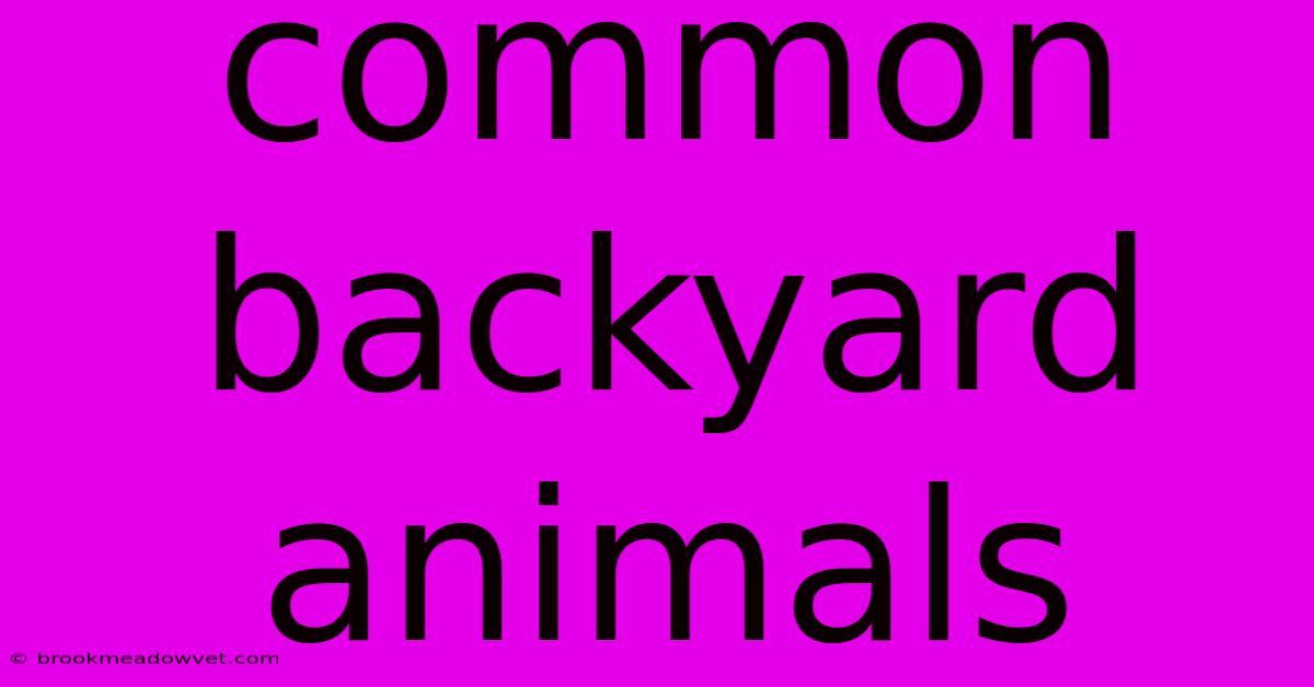 Common Backyard Animals