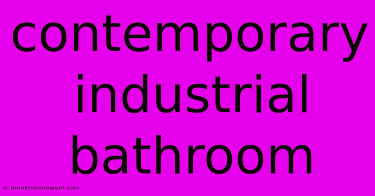 Contemporary Industrial Bathroom