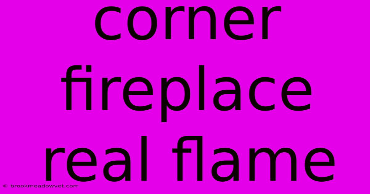 Corner Fireplace Real Flame