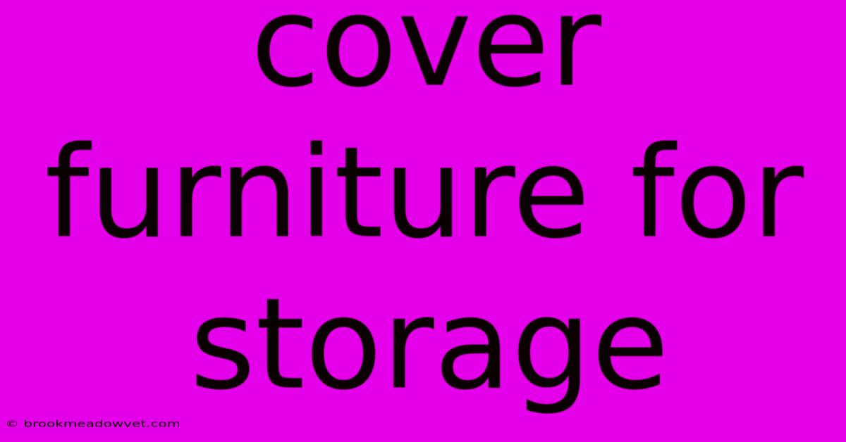 Cover Furniture For Storage