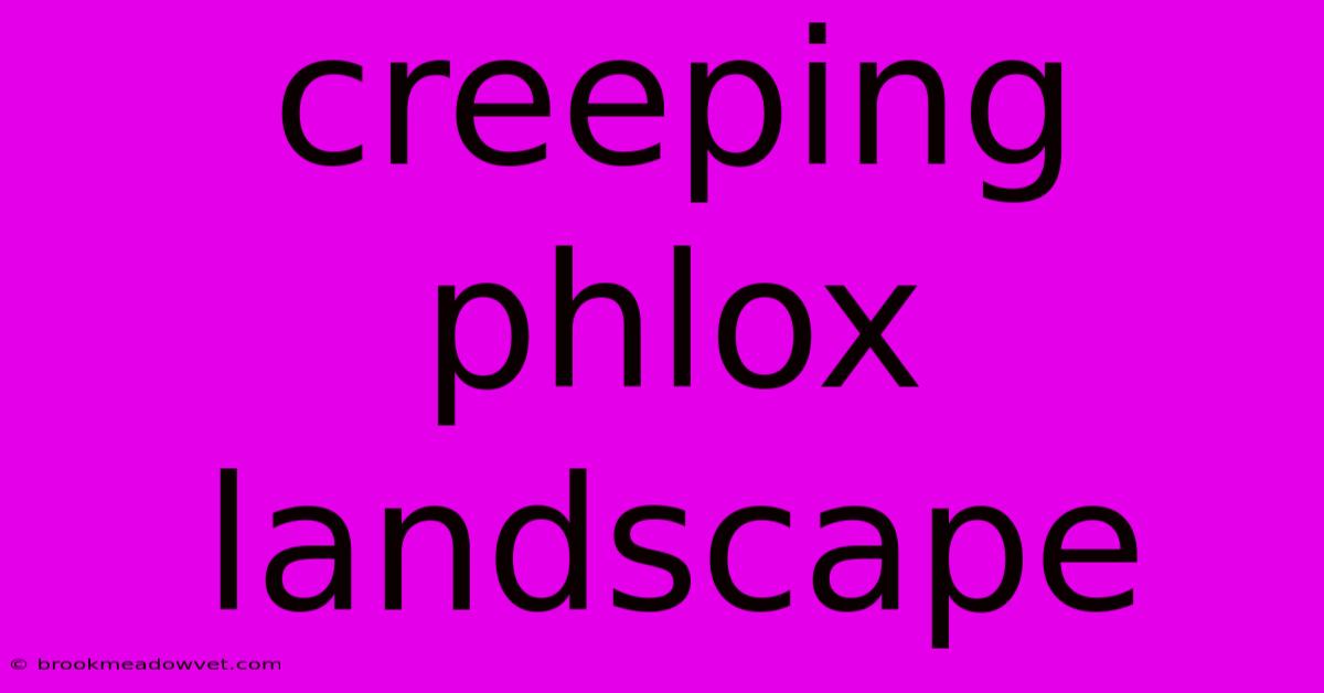 Creeping Phlox Landscape