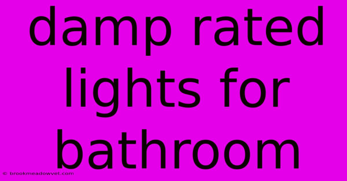 Damp Rated Lights For Bathroom