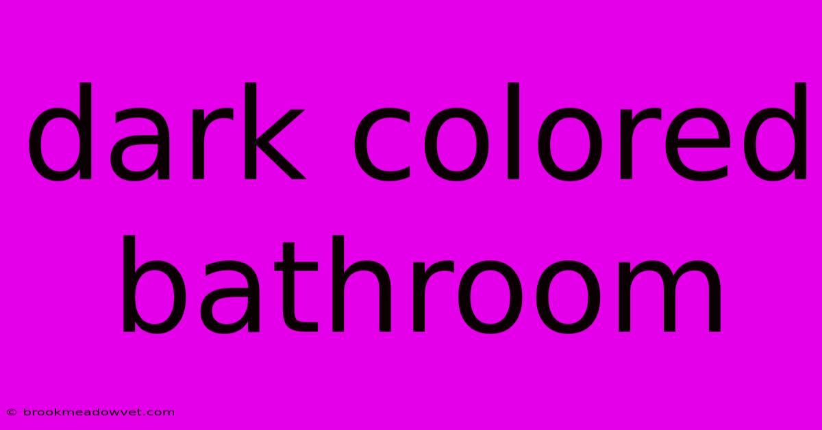 Dark Colored Bathroom