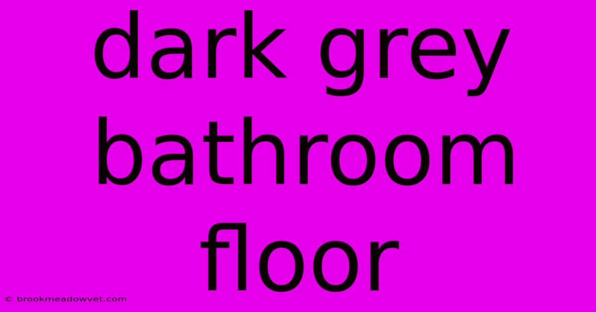 Dark Grey Bathroom Floor