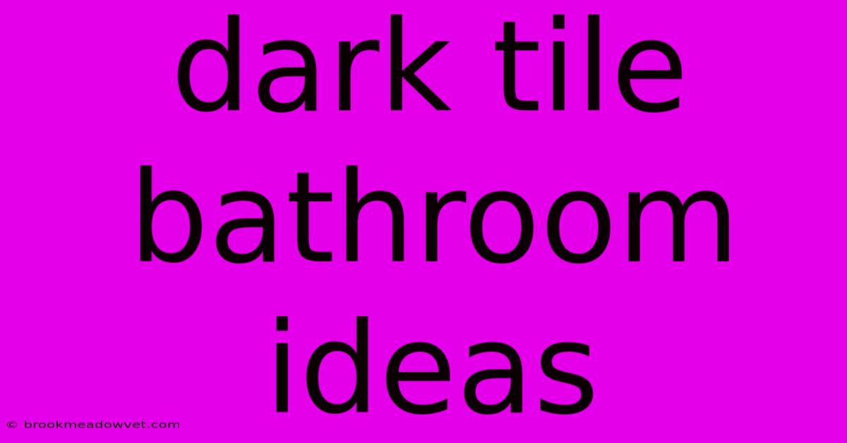 Dark Tile Bathroom Ideas