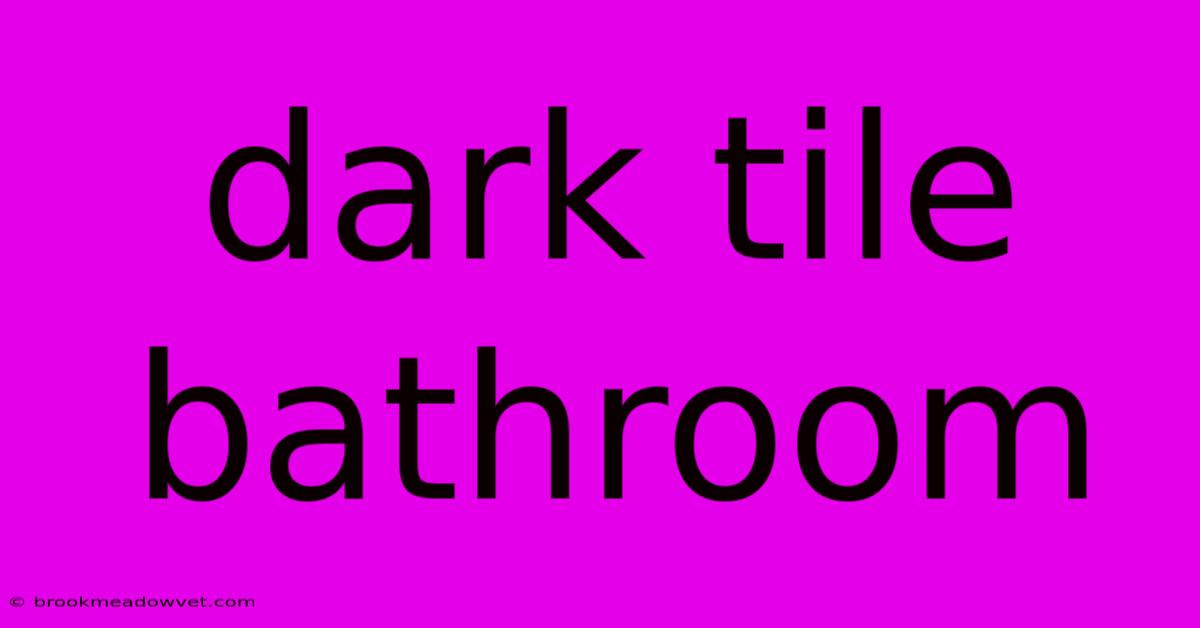 Dark Tile Bathroom