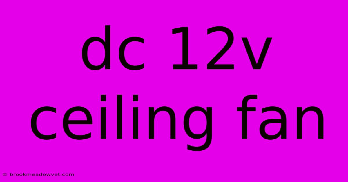 Dc 12v Ceiling Fan